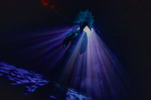 “Laberinto Mágico”: la exposición inmersiva que abre el universo de Leonora Carrington en la Ciudad de México