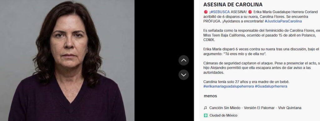 Retrato de frente de Erika María Guadalupe Herrera Coriand, mujer de cabello oscuro y ondulado, señalada como presunta responsable del feminicidio de Carolina Flores.