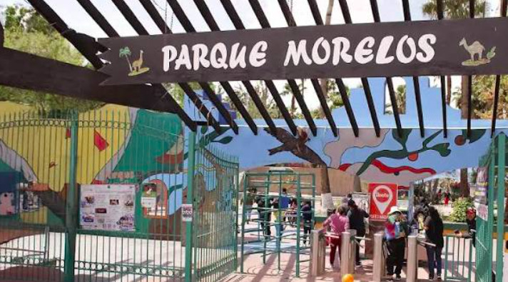 Fotografía en plano general de la entrada y fachada del zoológico del Parque Morelos en Tijuana. En la parte superior destaca un letrero de madera oscuro con el texto 'PARQUE MORELOS' escrito en letras blancas con tipografía estilizada, acompañado por ilustraciones de una avestruz a la izquierda y un camello a la derecha. La entrada cuenta con una pérgola de vigas de madera sobre un arco pintado de azul con un mural de aves, vallas de herrería verde, torniquetes de acceso y visitantes ingresando al recinto bajo una luz de día brillante.