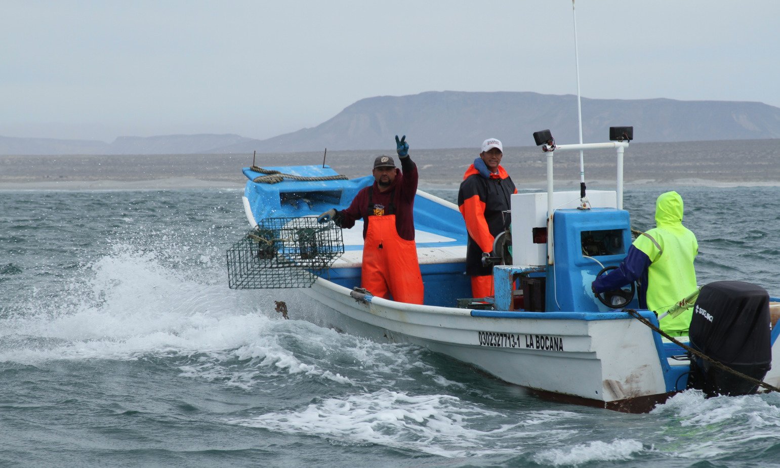 Septiembre trae seis vedas pesqueras: así afecta el calendario a Baja California