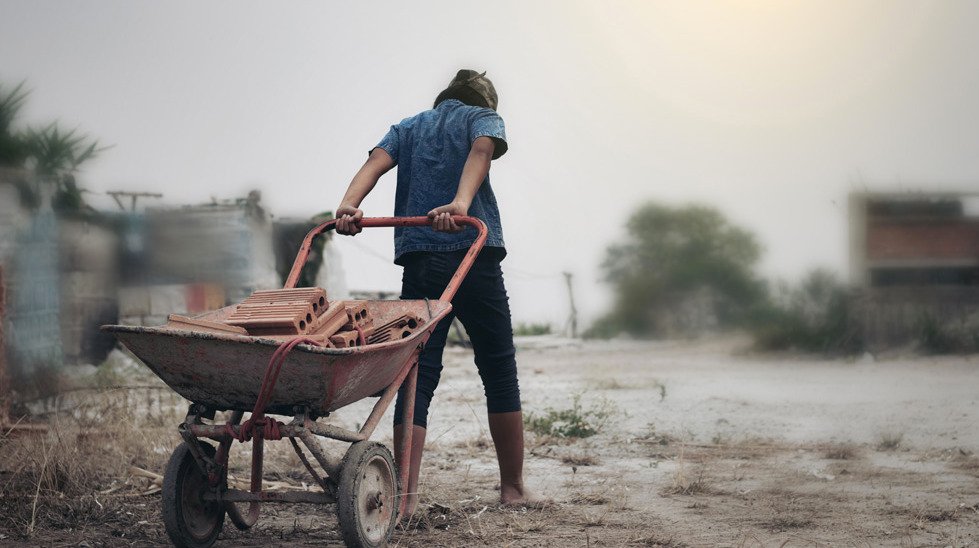Trabajo infantil persiste en México: Guerrero tiene la tasa más alta y Sinaloa, la más baja